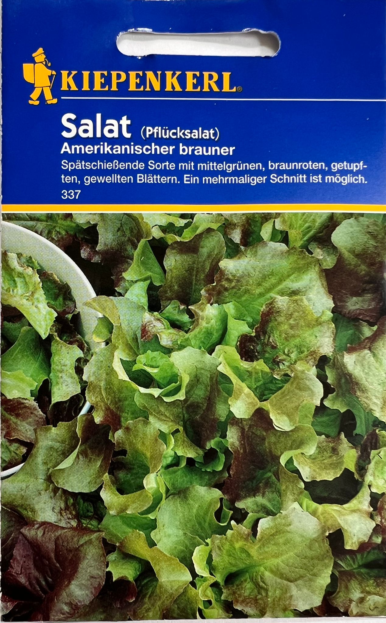 Salat Pflücks Amerikanischer brauner