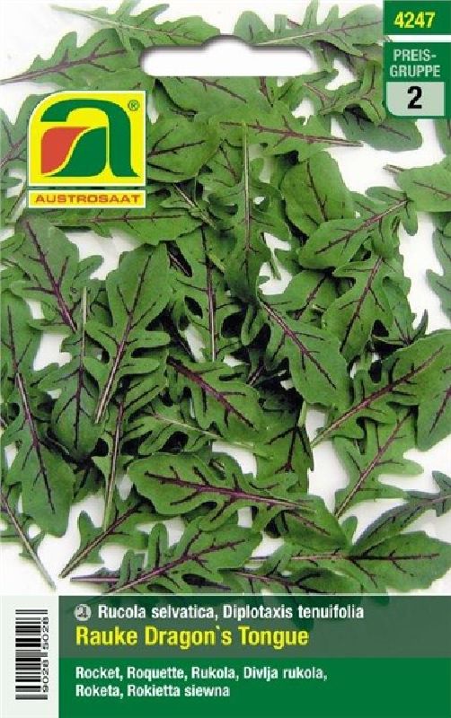 Rauke Dragon's Tongue