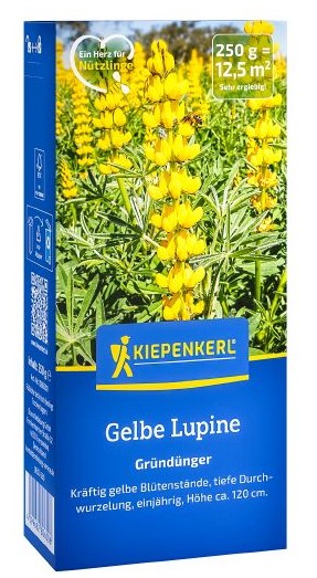 Gründüngung Lupine gelb