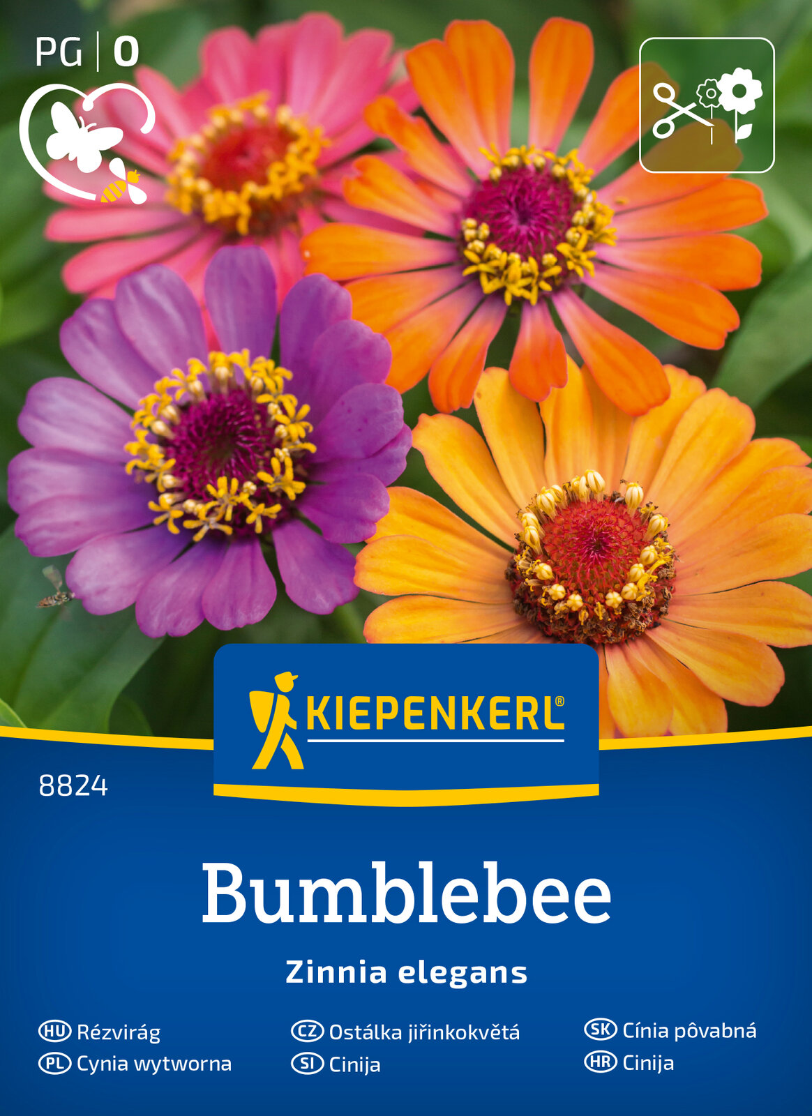 Zinnia Bumblebee