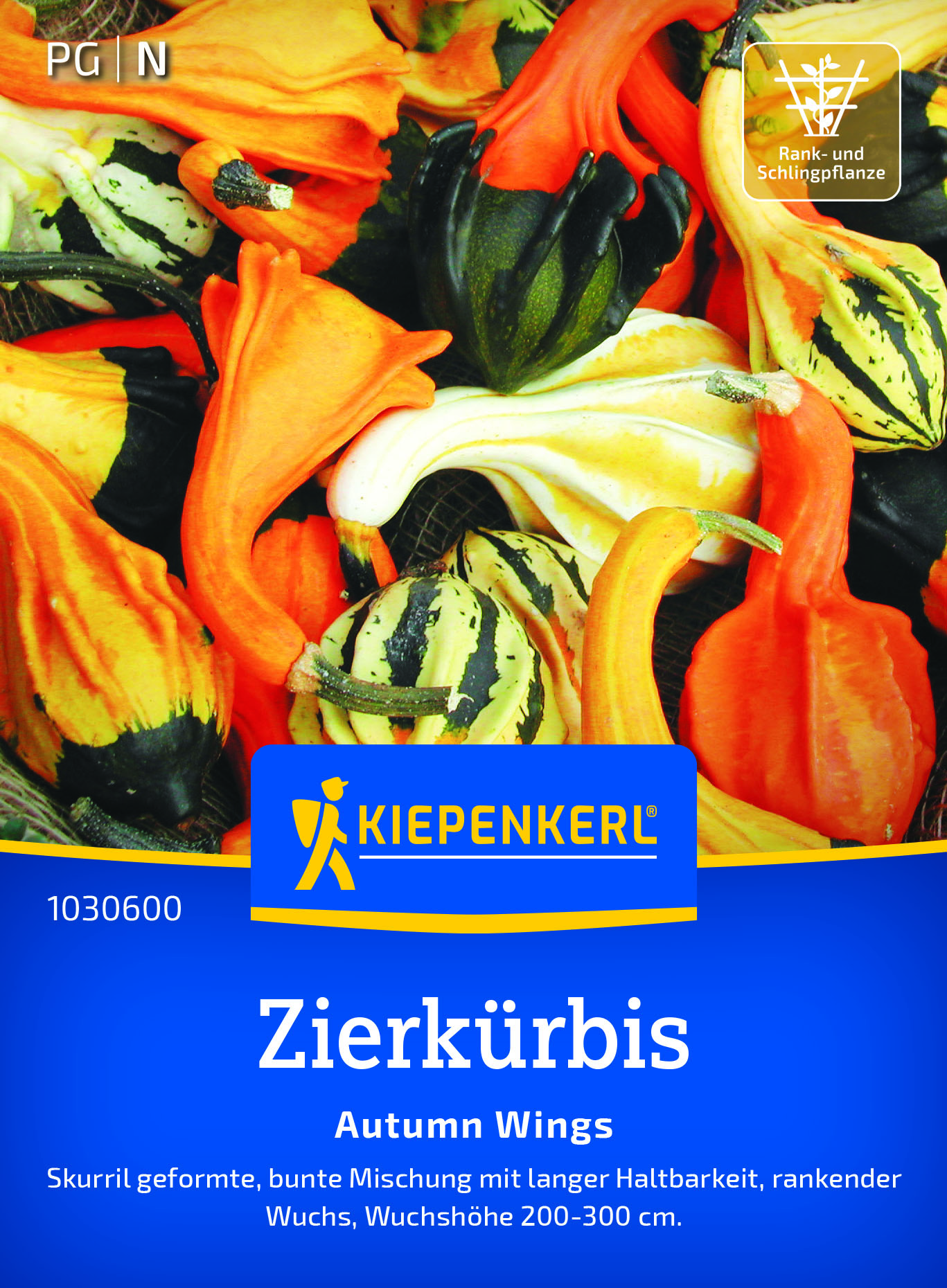 Zierkürbis Autumn Wings