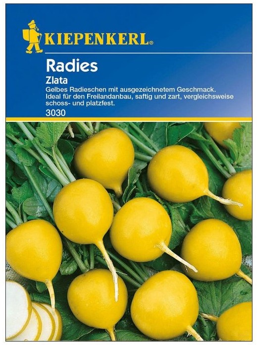 Radies Zlata, gelb