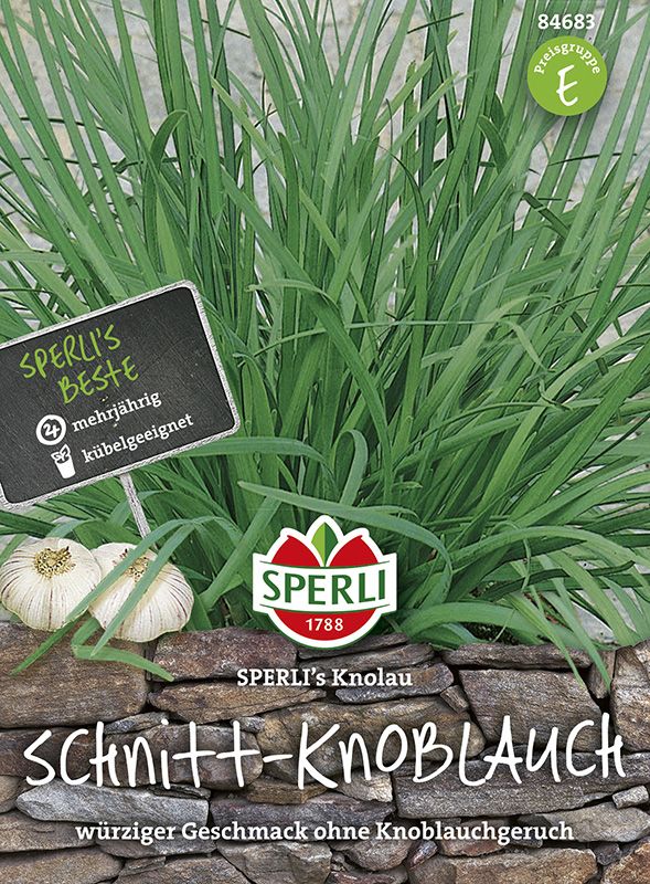 Schnitt -  Knoblauch