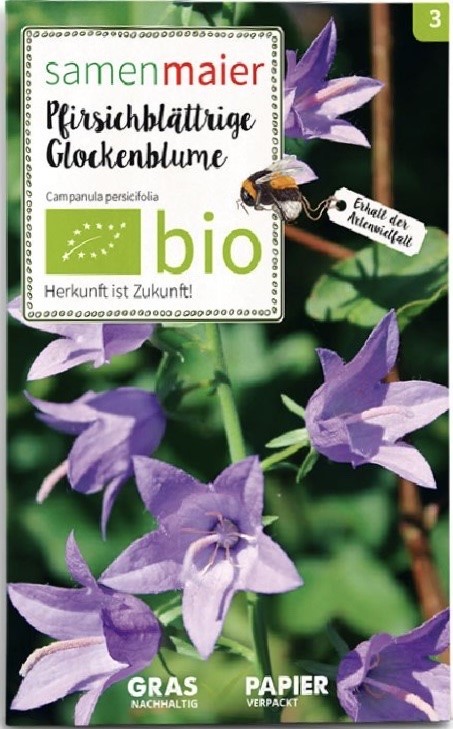 Wildbl. Bio Campanula persicifolia