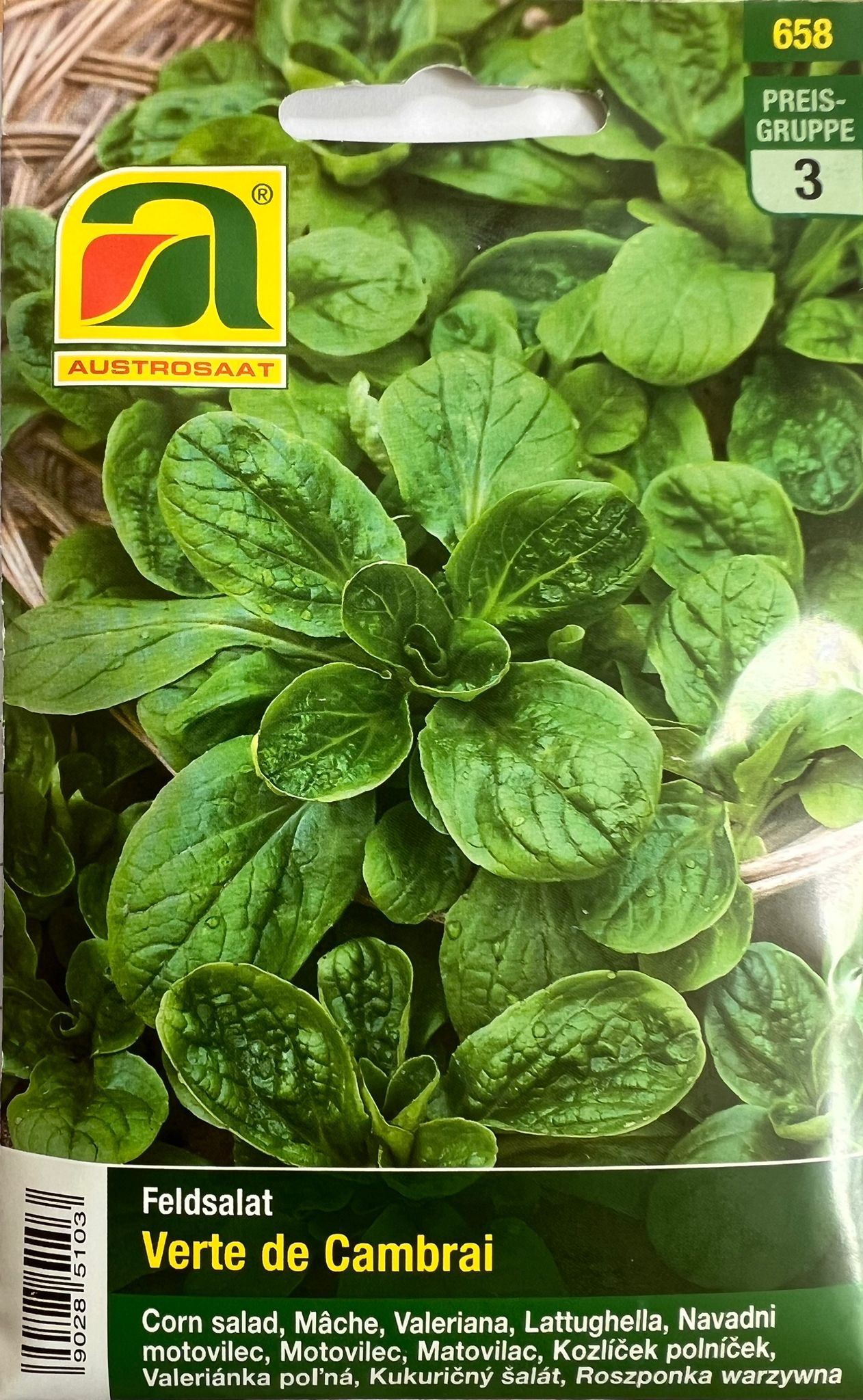 Feldsalat, Verte de Cambrai/Polar