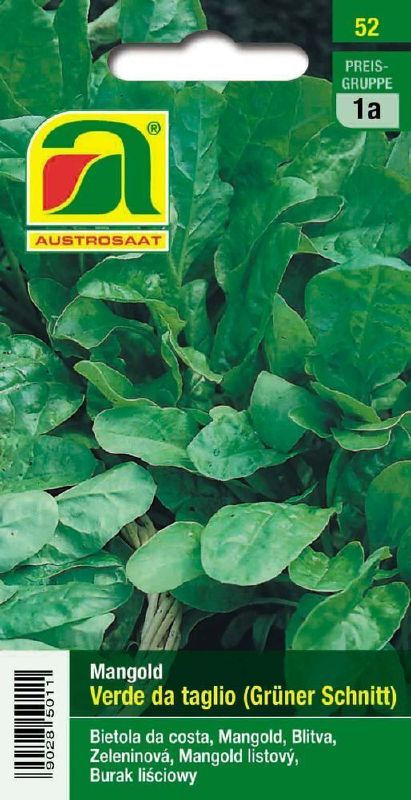 Mangold Groene Gewone (Grüner Schnitt)