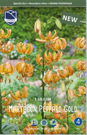 Türkenbundliie Peppard Gold