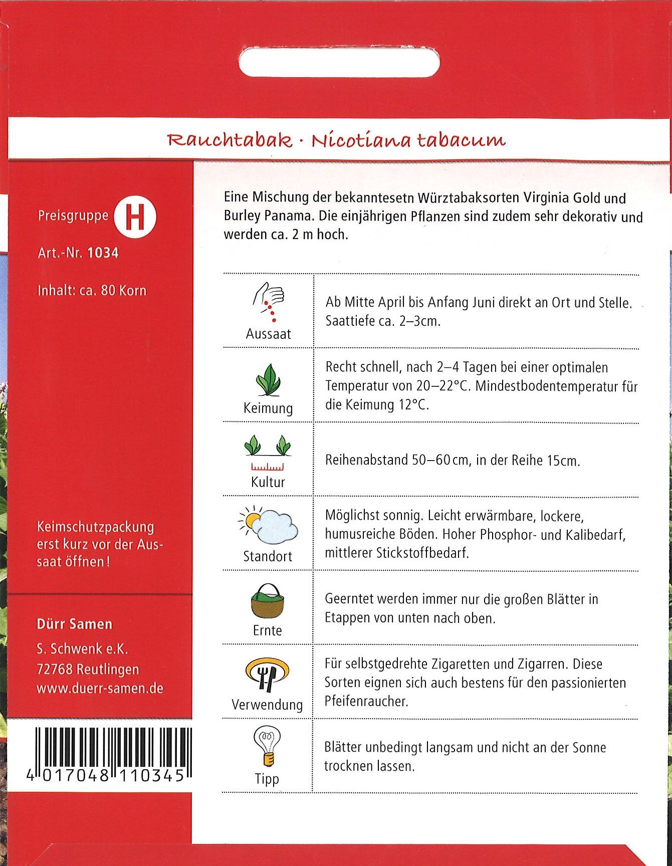Nicotiana tabacum echter Rauchtabak - Produktbild 2