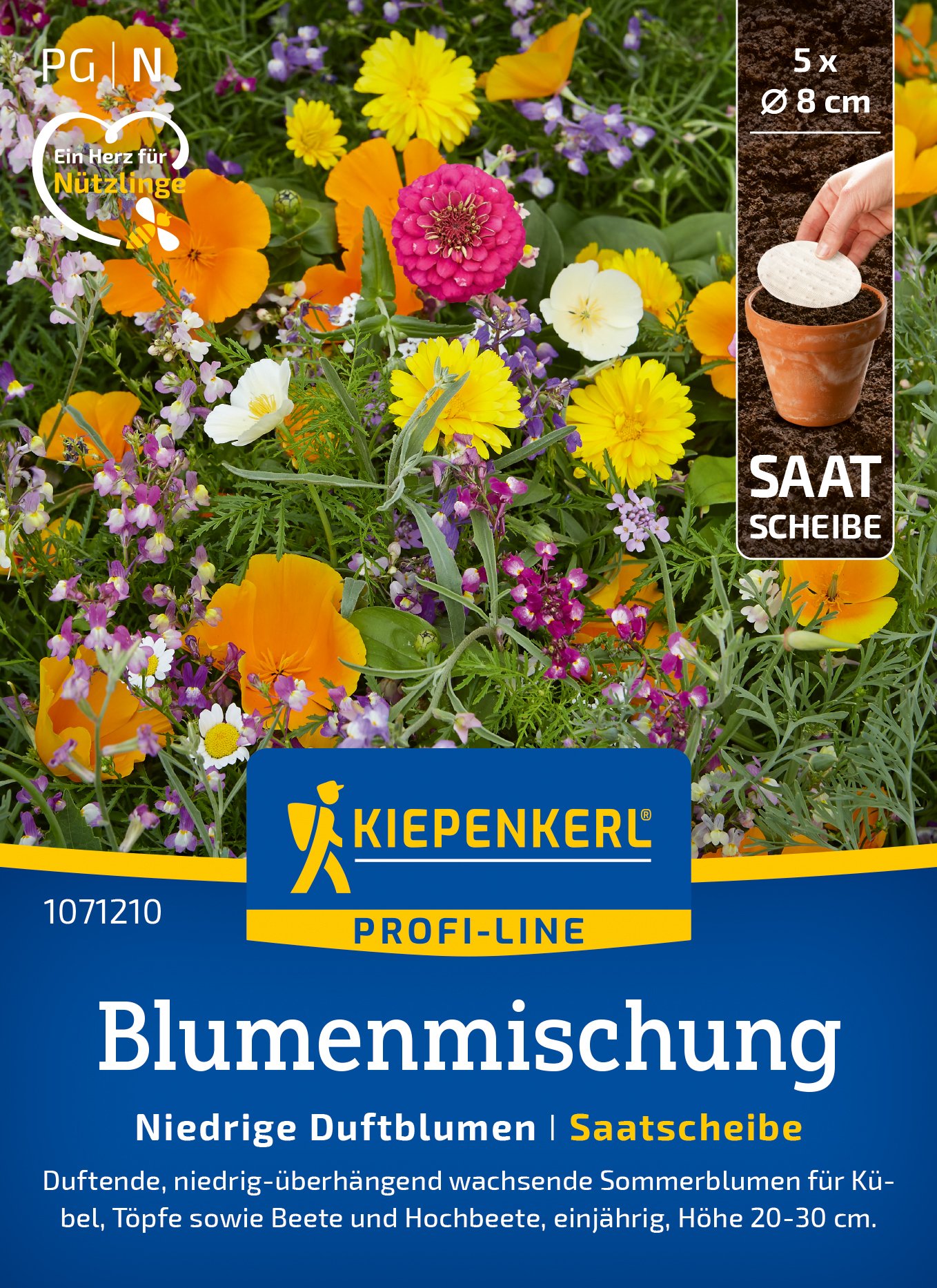 Niedrige Duftblumen Saatscheibe - Produktbild 1