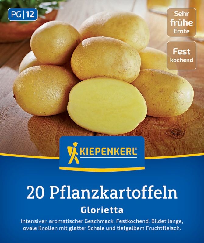 Pflanzkartoffel Glorietta