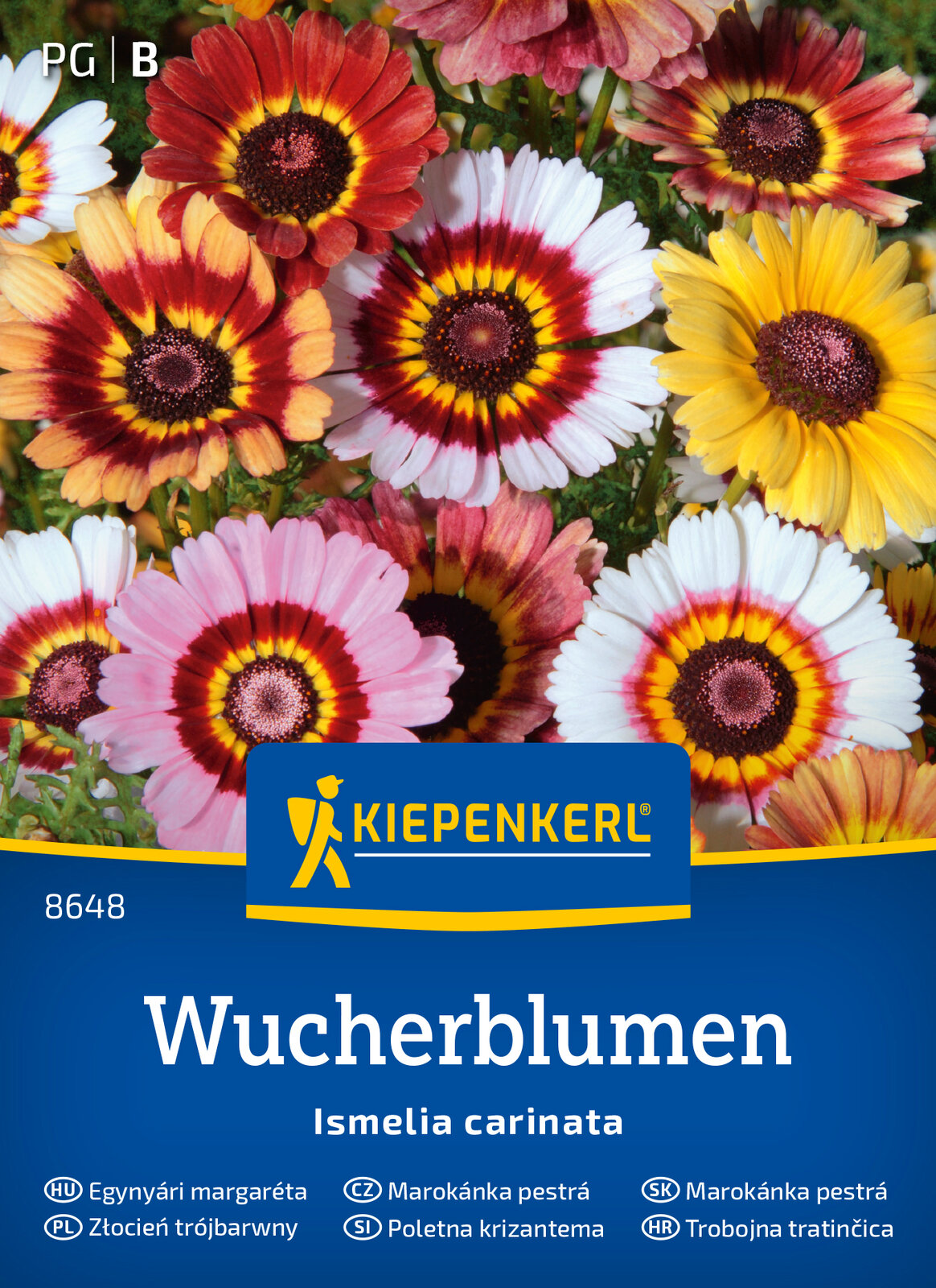 Wucherblume