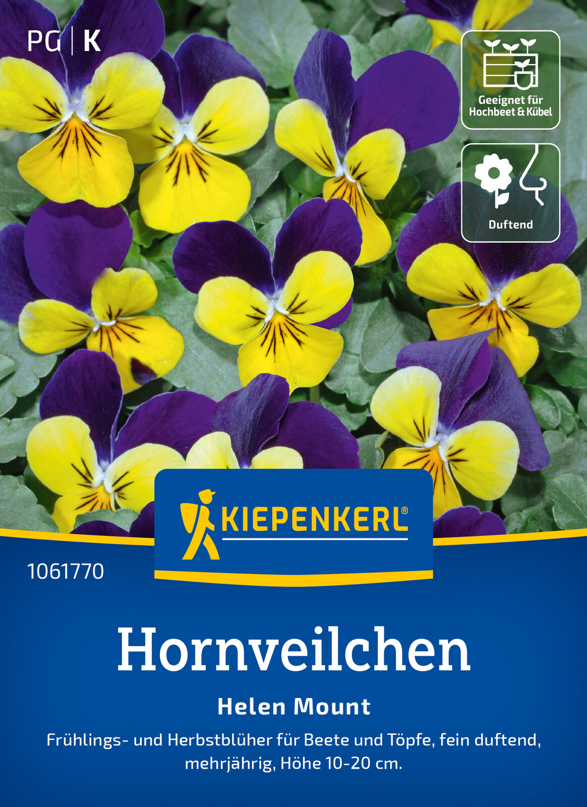 Hornveilchen Helen Mount