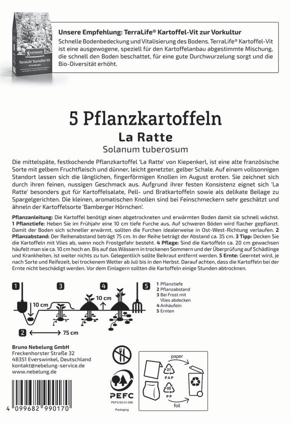 Pflanzkartoffel Ratte - Produktbild 2