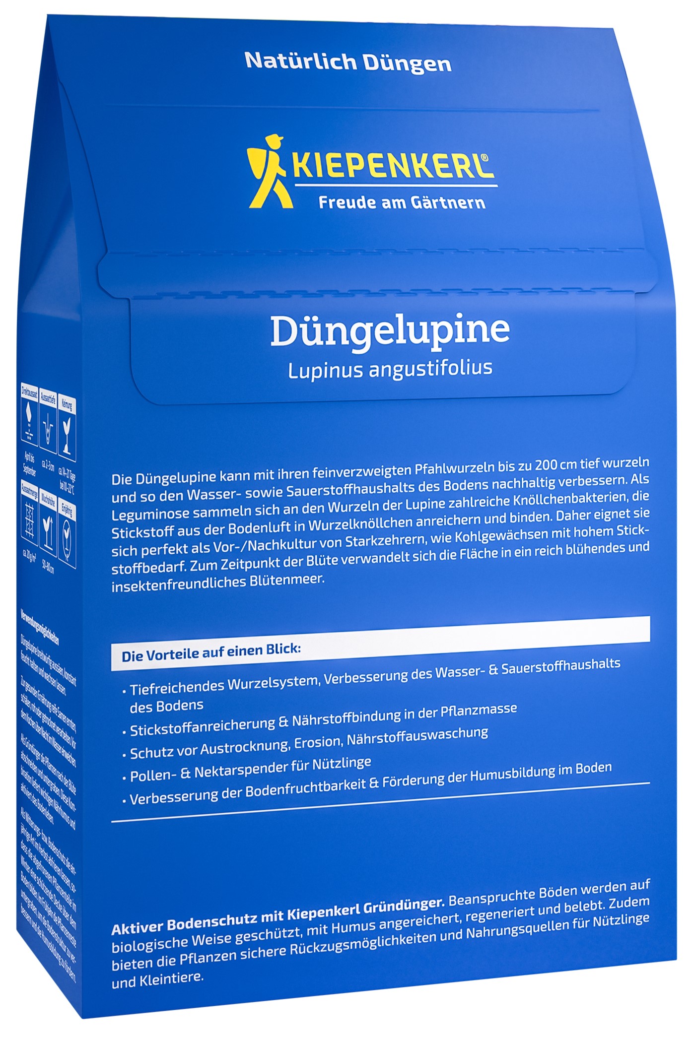Gründüngung Bitterlupine blau - Produktbild 2