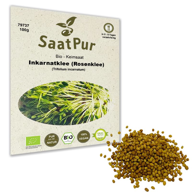 Keimsprossen Inkarnatklee / Rosenklee - Produktbild 3