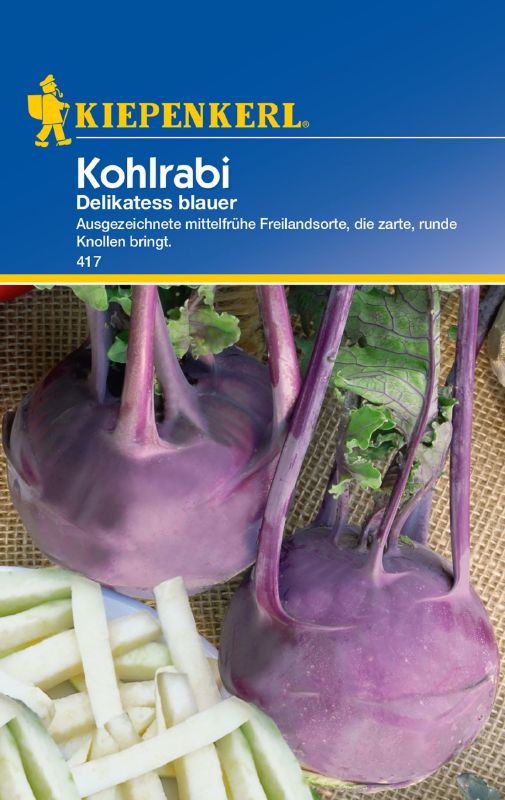 Kohlrabi Delikatess blauer Freiland