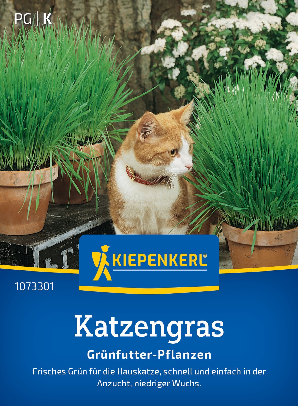 Katzengras Weidel-/Lieschgras