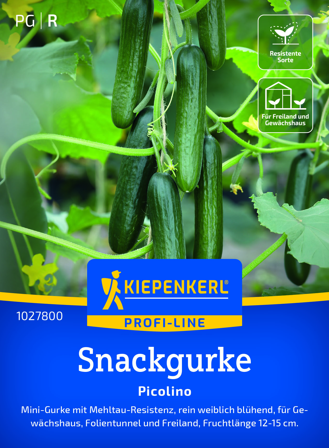 Gurke Picolino F1 (Snack-Gurke)