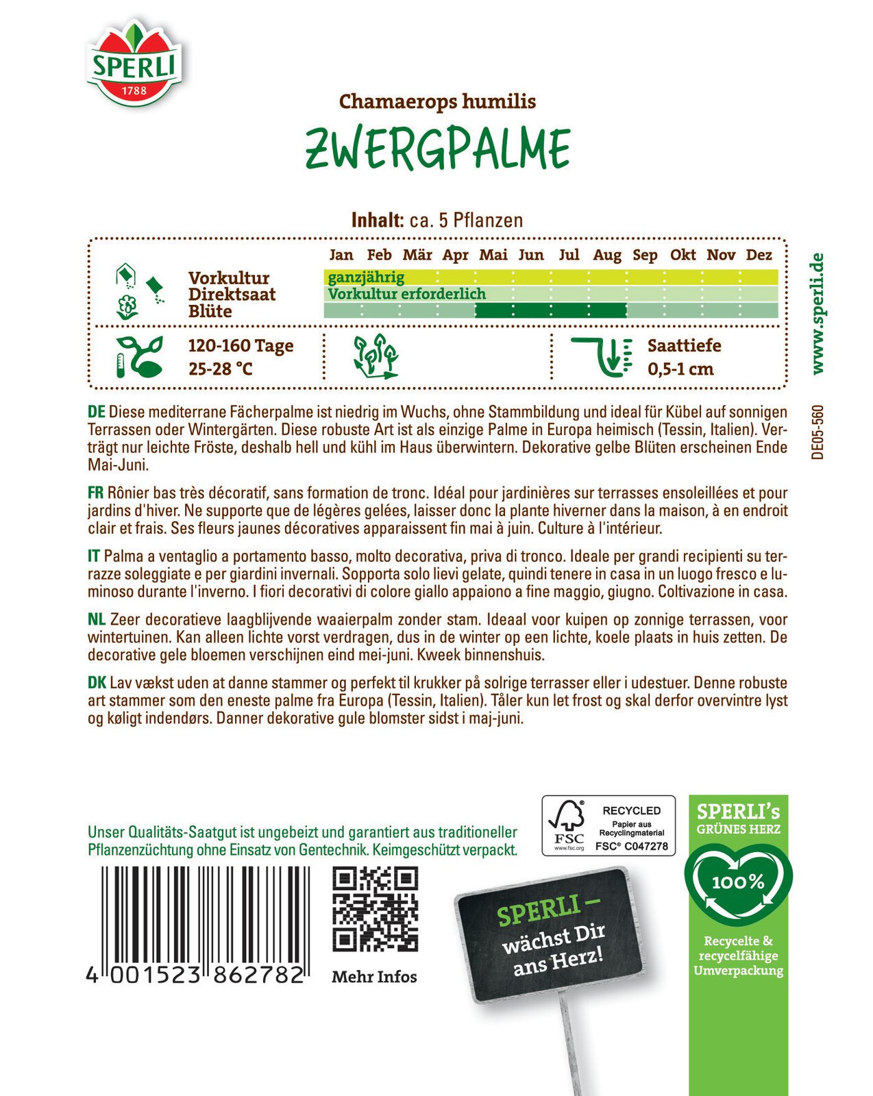 Zwergpalme Chamaerops humilis - Produktbild 2