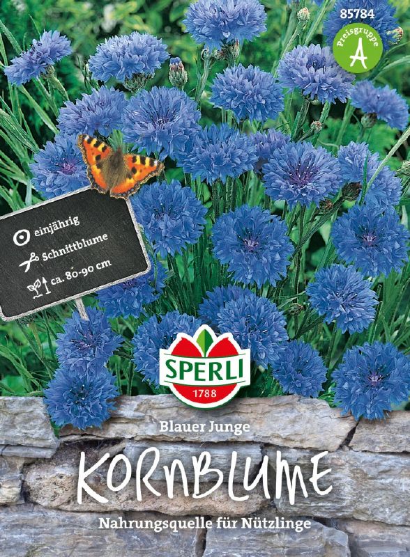 Centaurea, Kornblume Blauer Junge