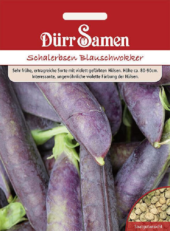 Erbse, Schalerbse Blauschwokker