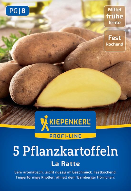 Pflanzkartoffel Ratte
