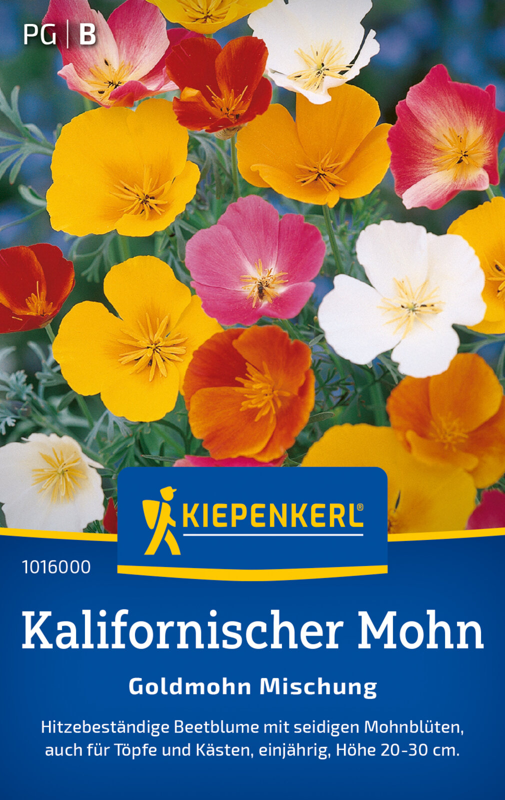 Goldmohn, Schlafmützchen, Californischer Mohn Mischung
