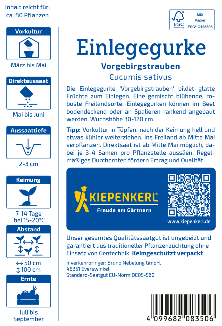 Gurke Vorgebirgstrauben - Produktbild 2