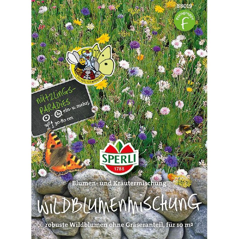 Blumenmischung Blumen und Kräuterwiese