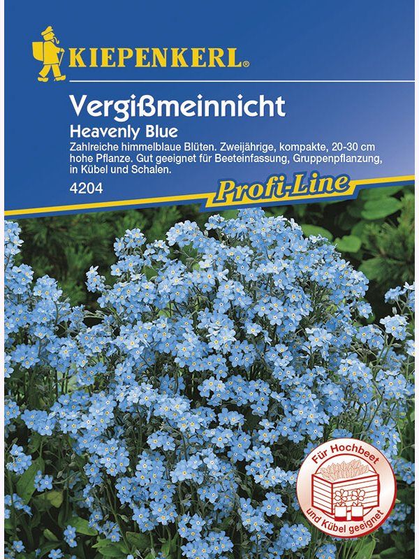 Myosotis sylvatica Heavenly Blue