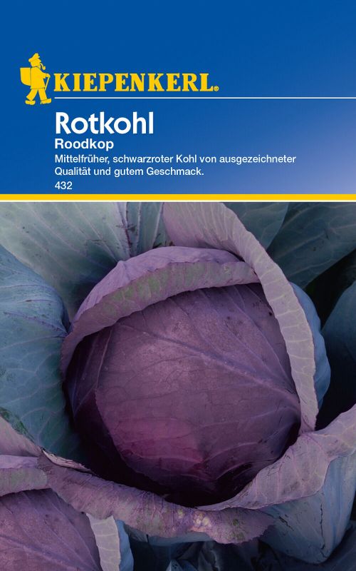 Rotkohl Roodkop (Schwarzkopf 2)