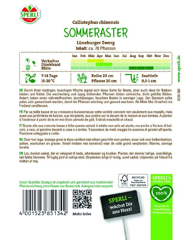 Aster Lüneburger Zwerg - Produktbild 2