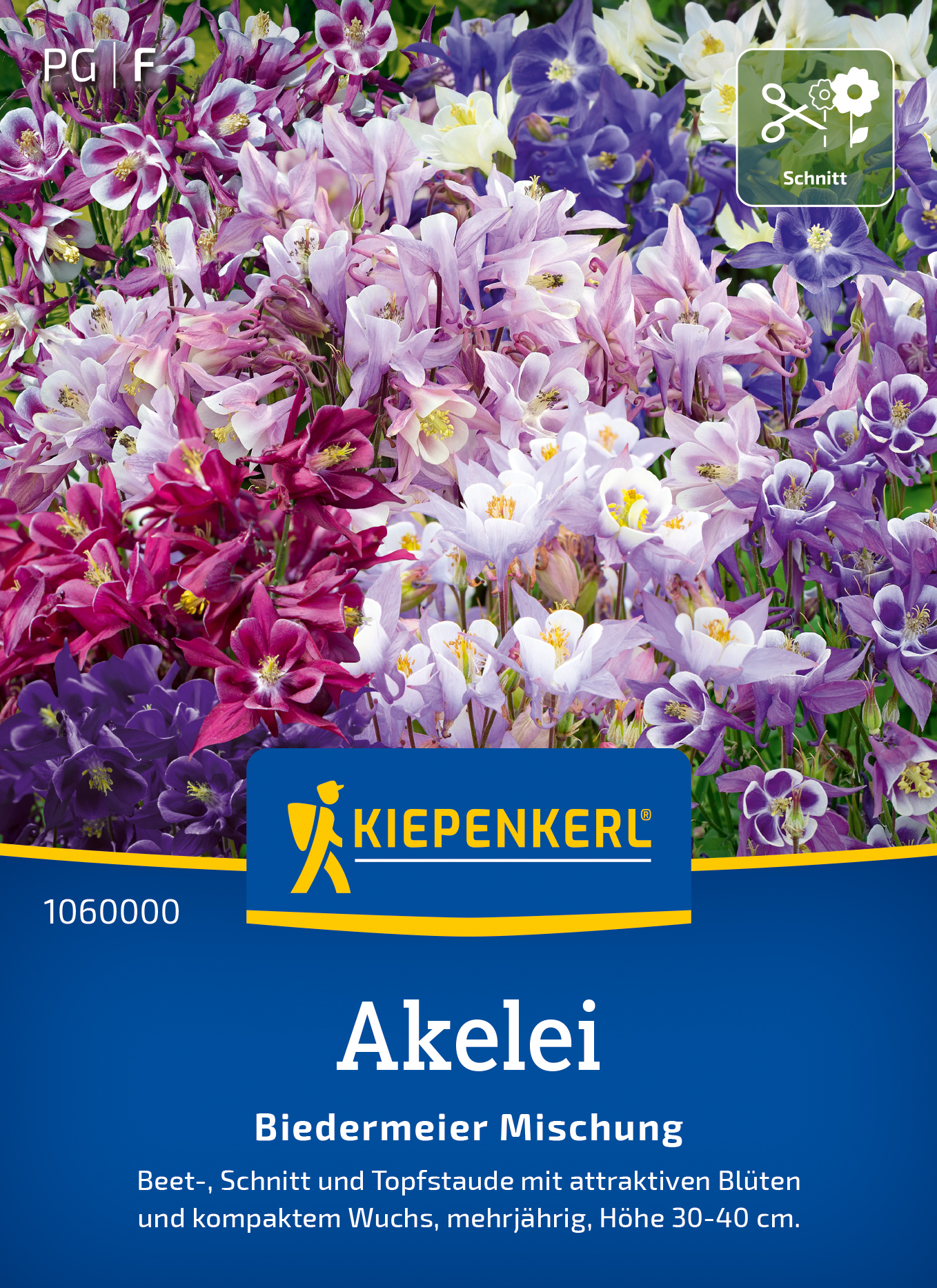 Akelei Biedermeier