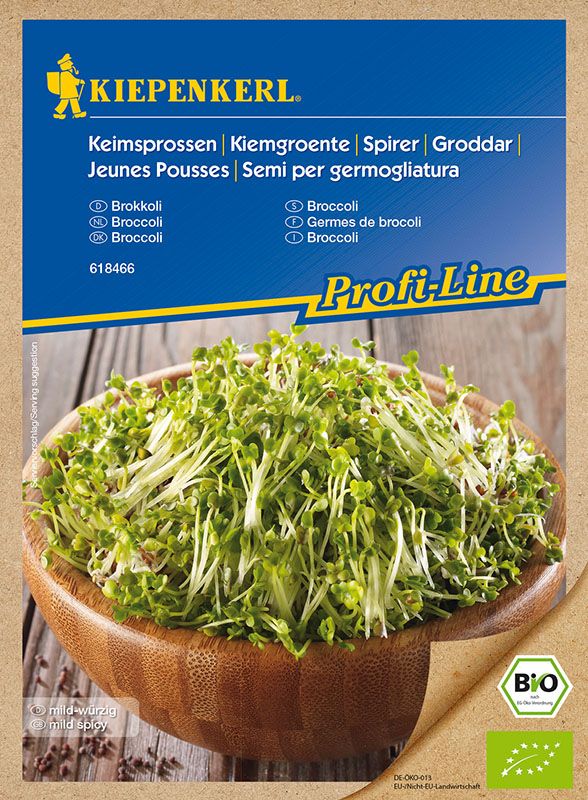Keimsprossen Brokkoletti