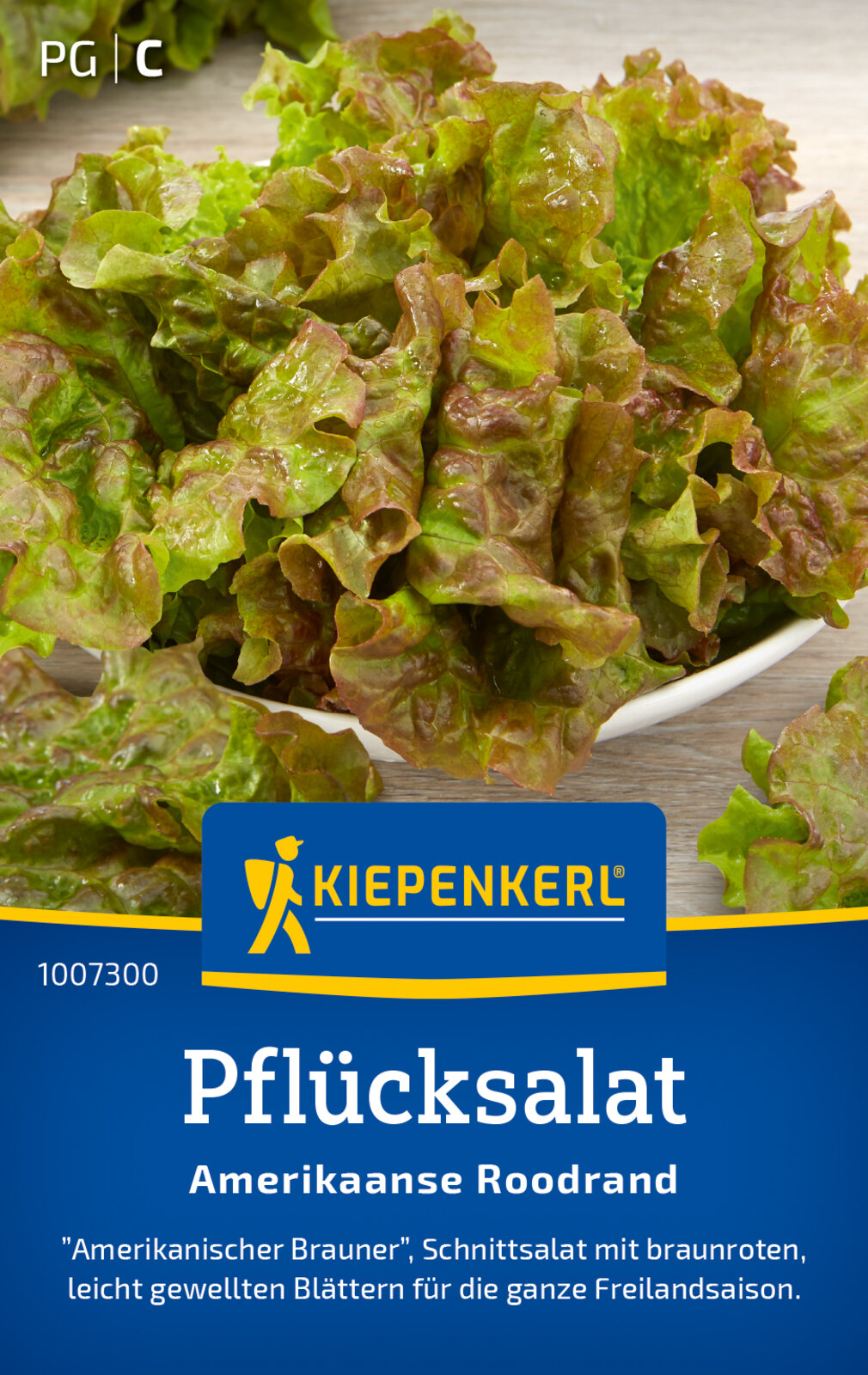 Pflücksalat Amerikanischer Brauner