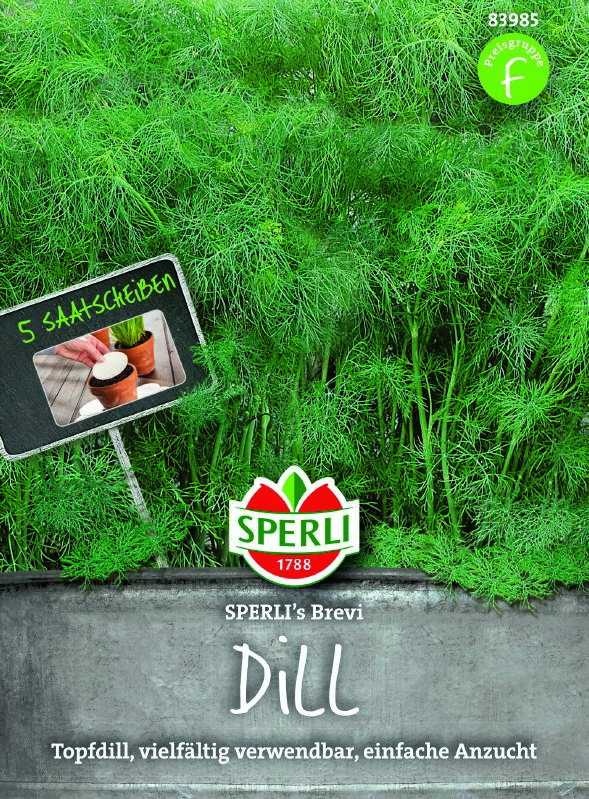 Saatscheibe Dill