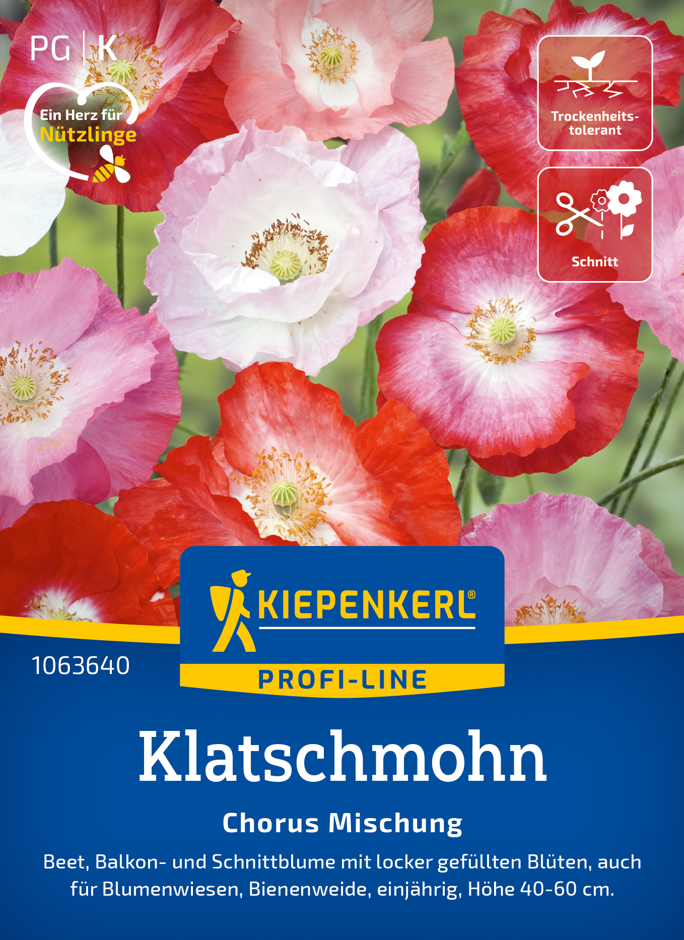 Papaver rhoeas Chorus