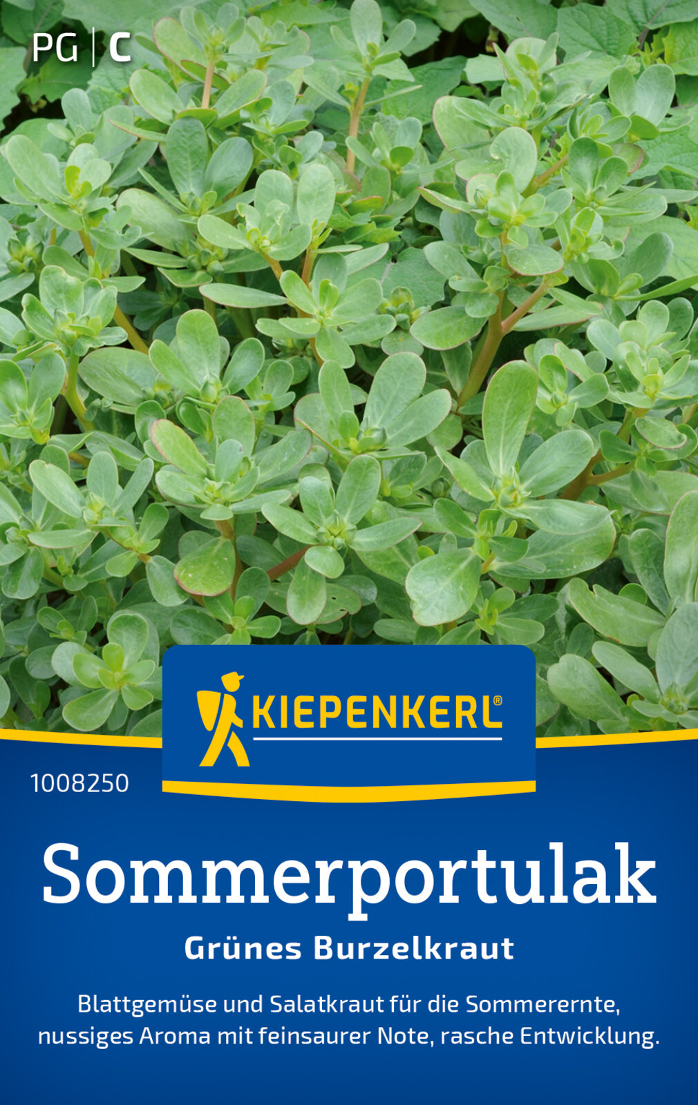 Portulak, Sommerportulak