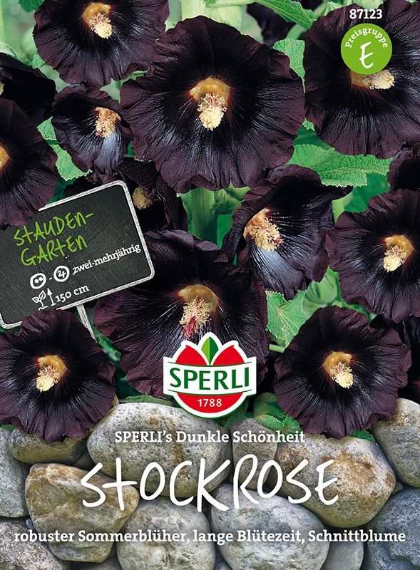 Alcea rosea nigra Dunkle Schönheit