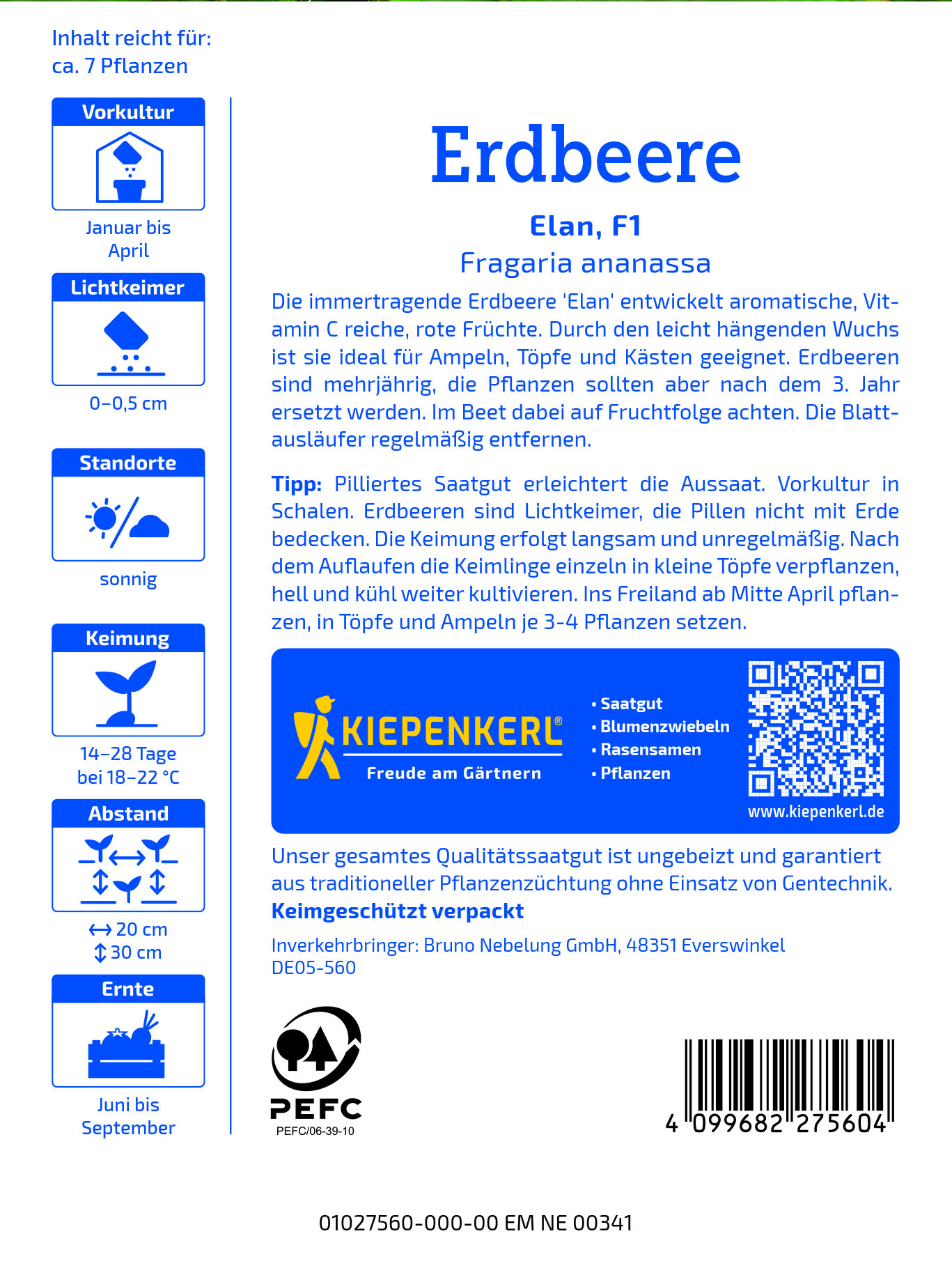 Erdbeere Elan F1 - Produktbild 2