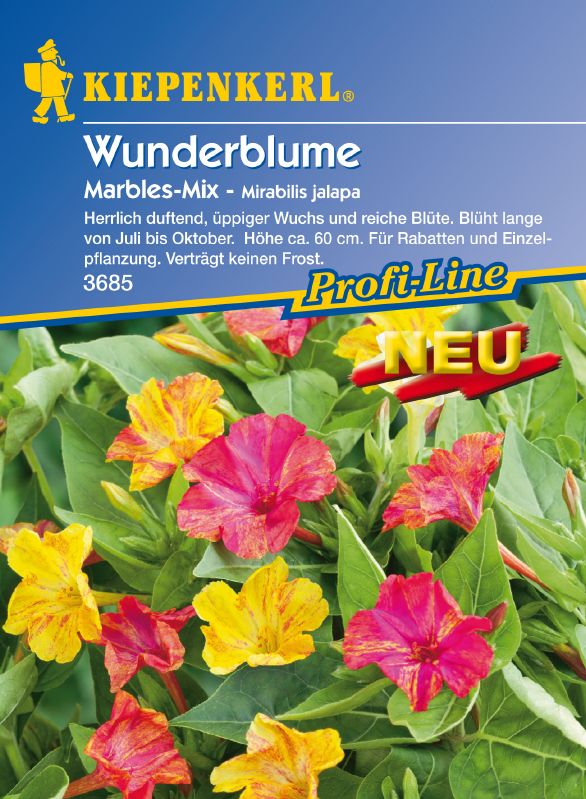 Wunderblume Marbles Mix | Portion | 72069-72069