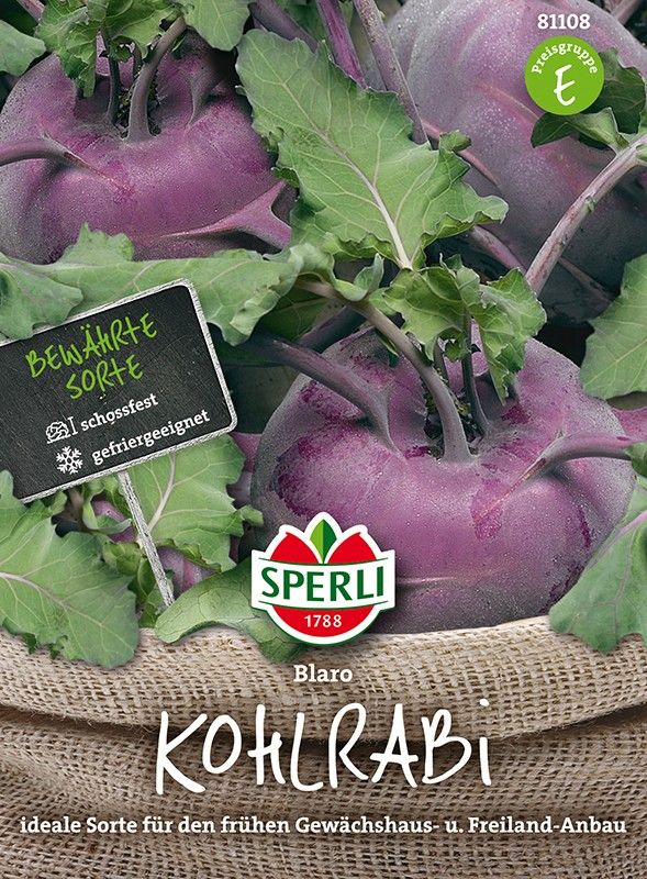 Kohlrabi Roggli Blaro