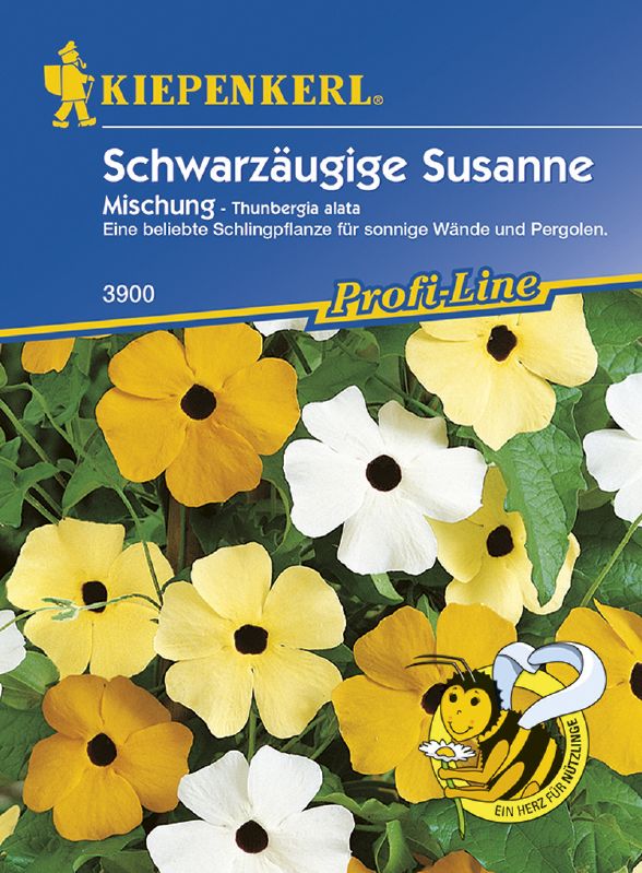 Thunbergia Mischung