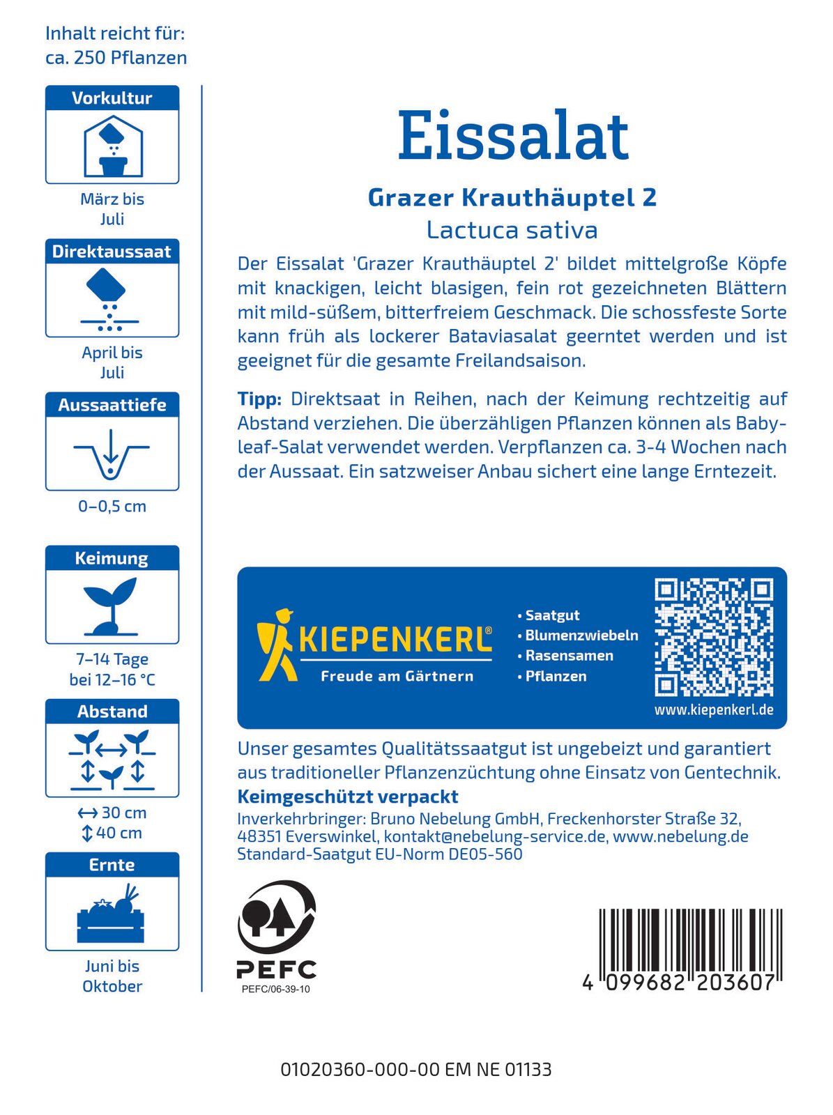 Salat Grazer Krauthäuptel - Produktbild 2