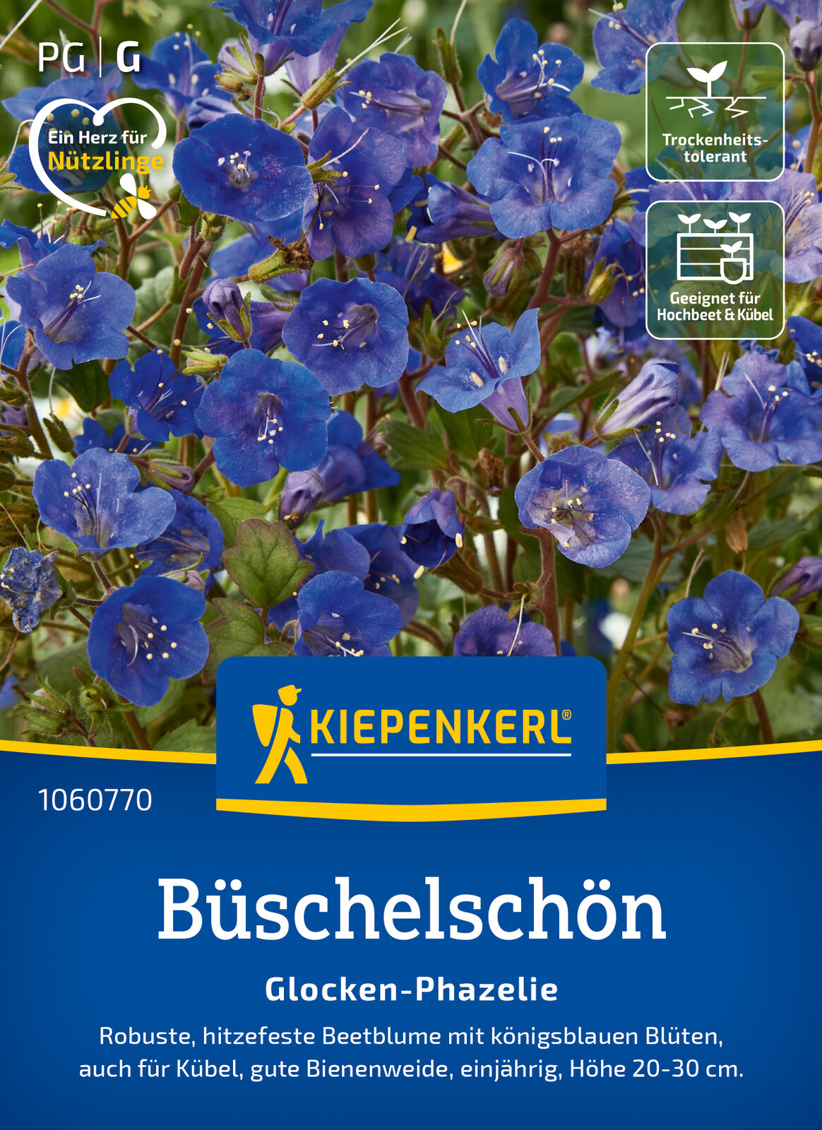 Büschelschön - Produktbild 1