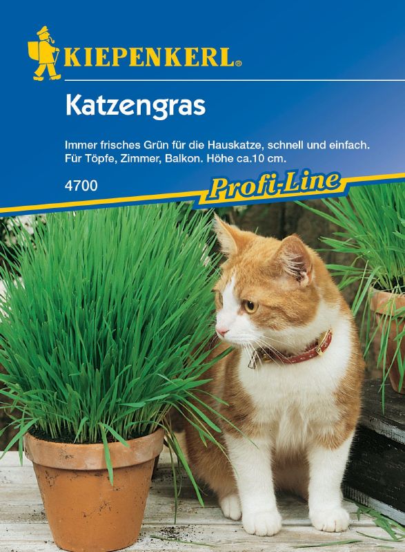 Katzengras Weidel-/Lieschgras 30g