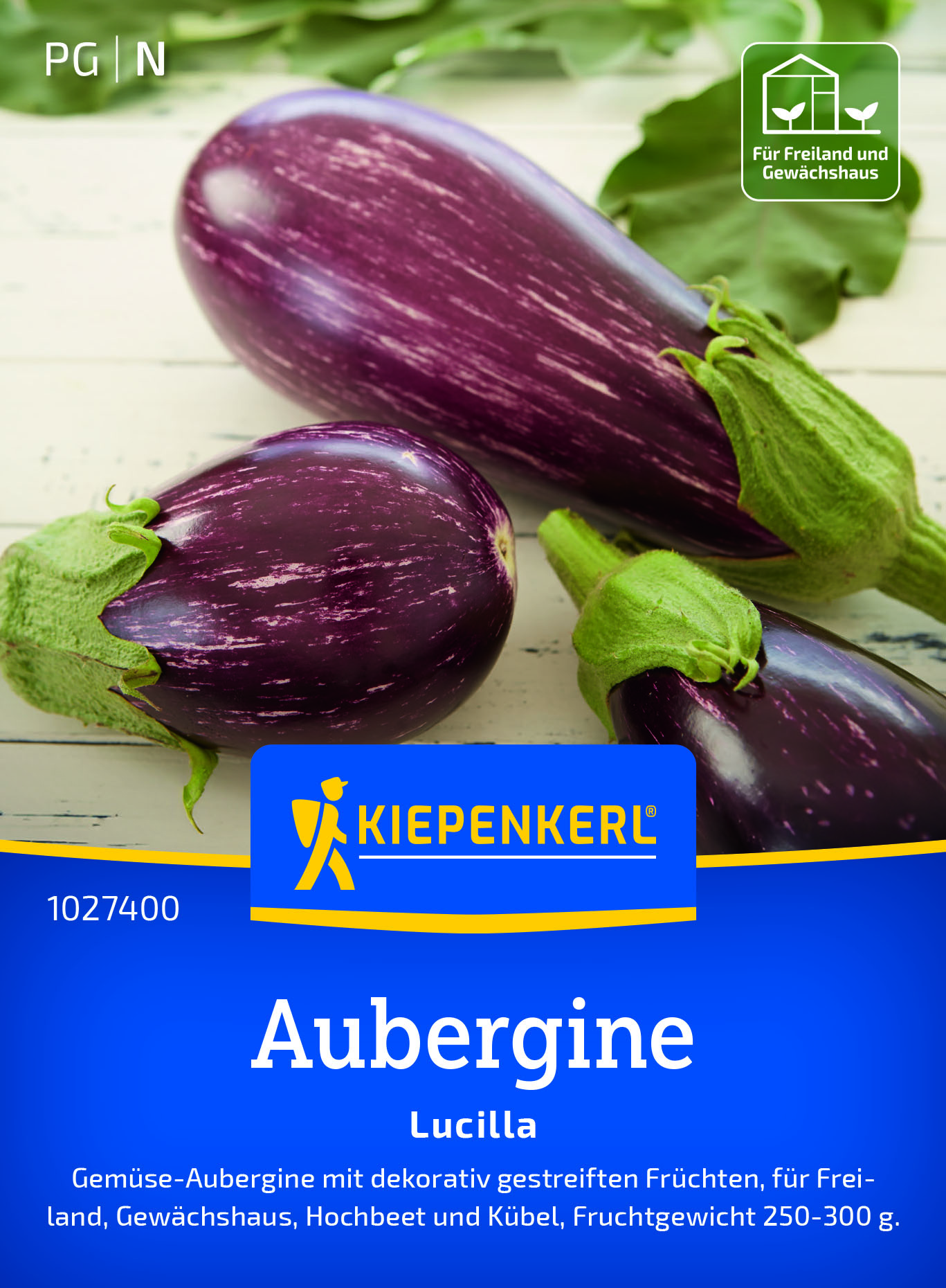 Aubergine Lucilla F1
