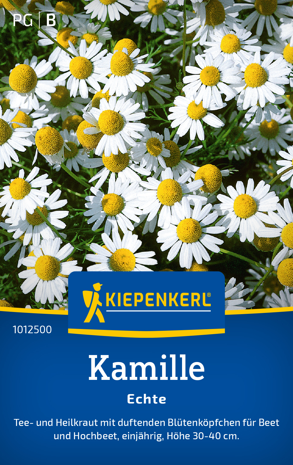 Kamille echte