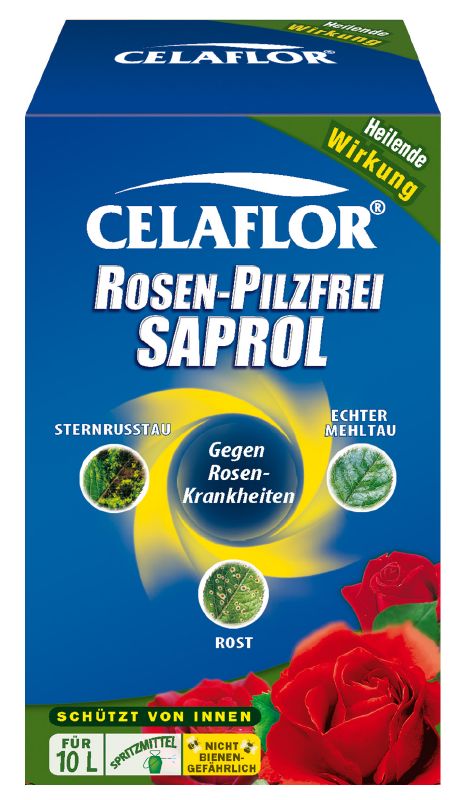 Celaflor Rosen Pilzfrei Saprol Spray