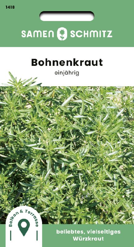 Bohnenkraut einjährig